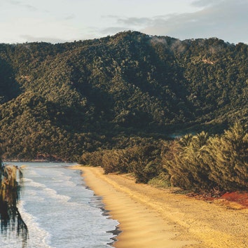 Escape Routes: Australia's Daintree Rainforest