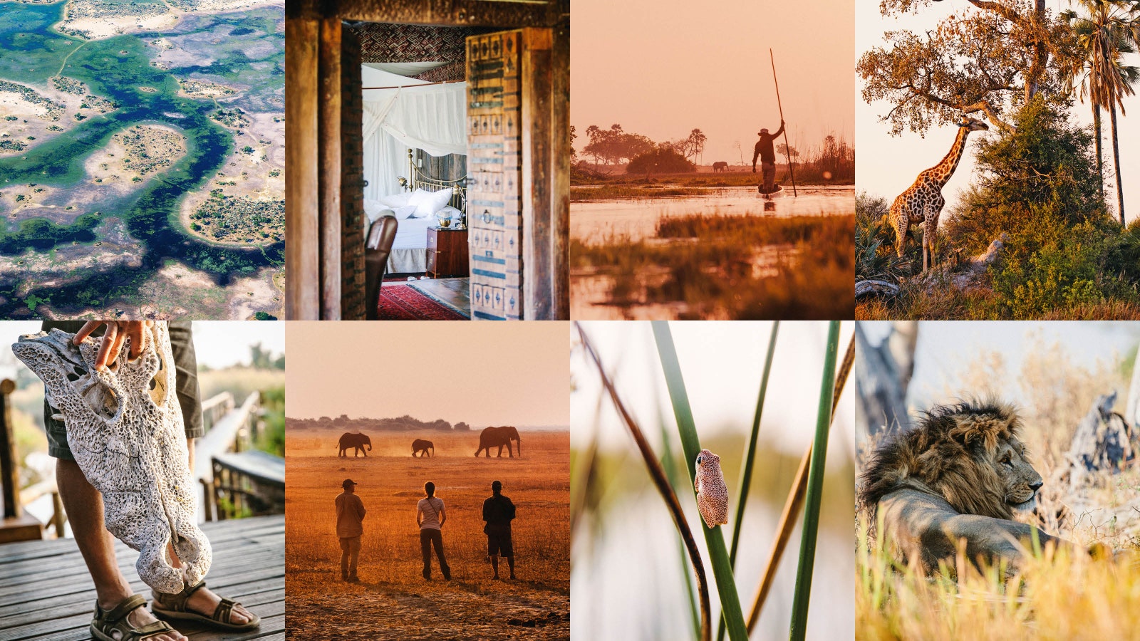 “Unpick one piece and the whole thing falls apart”: navigating the winding waterways of the Okavango Delta during a tumultuous time for the majestic ecosystem