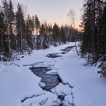 Escape Routes podcast: Swedish Lapland